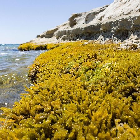 Vila Casotto Il Carrubo, A 100 Mt Dal Mare! Avola Exteriér fotografie