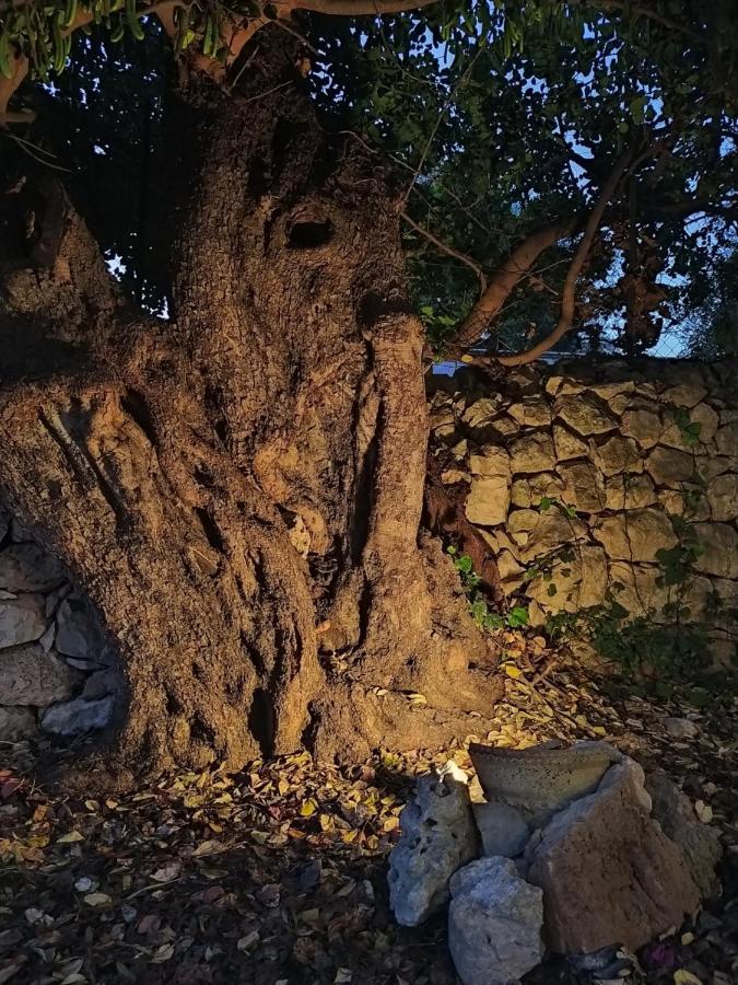 Vila Casotto Il Carrubo, A 100 Mt Dal Mare! Avola Exteriér fotografie