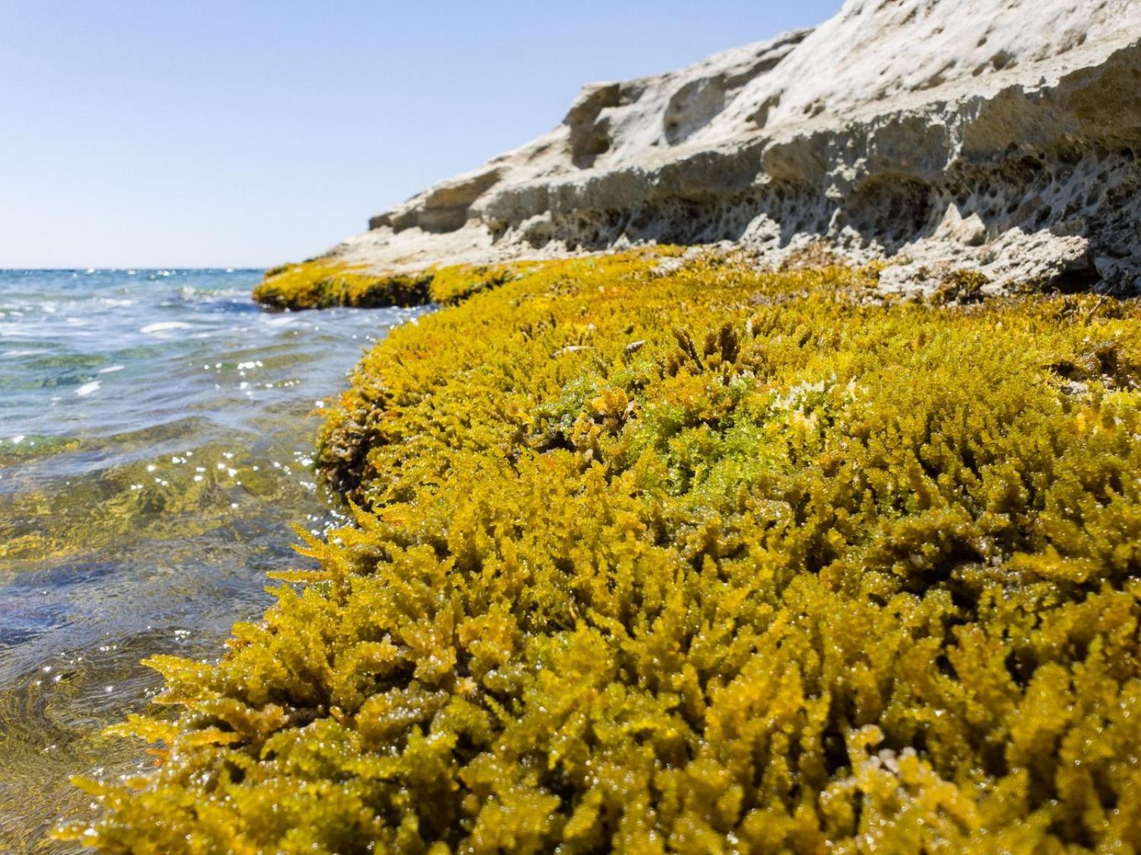 Vila Casotto Il Carrubo, A 100 Mt Dal Mare! Avola Exteriér fotografie